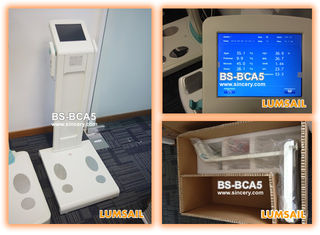 Maszyna do kontroli tłuszczu w ciele z certyfikatem CE z panelem kontrolnym z dużym, kolorowym ekranem dotykowym
