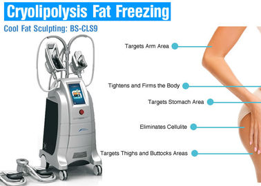 4 obsługuje zamrażanie tłuszczu Cryolipolysis Body Odchudzanie Maszyna do utraty wagi / redukcji cellulitu