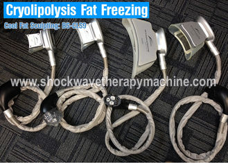 4 obsługuje zamrażanie tłuszczu Cryolipolysis Body Odchudzanie Maszyna do utraty wagi / redukcji cellulitu
