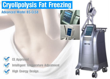 Utrata masy ciała Cryolipolysis Body Odchudzanie maszyny, Spalanie tłuszczu Odsysanie nieoperacyjne