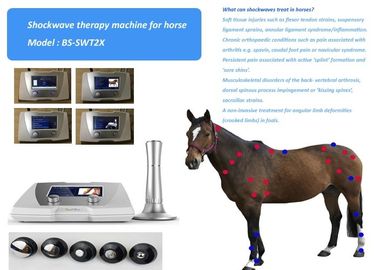 Regulowana wysokociśnieniowa maszyna Shockwave 1-22 Hz do leczenia końskiego