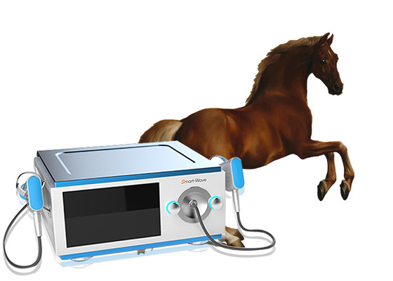 Smartwave BS-SWT5000 Niskoszumowy sprzęt do terapii końskiej fali uderzeniowej na ból