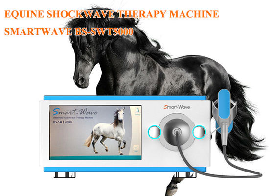 Profesjonalna fizjoterapia Radialna maszyna do terapii falami uderzeniowymi Sprzęt do fali uderzeniowej koni