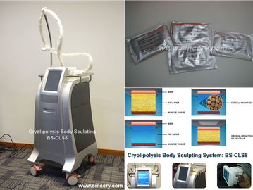Body Slimming / Shaping Cryolipolysis Maszyna do zamrażania tłuszczu z inteligentną kontrolą temperatury