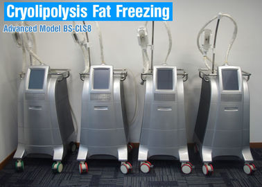 CoolSculpting Cryolipolysis Body Odchudzanie Maszyna / Sprzęt redukcji tłuszczu Bezbolesny