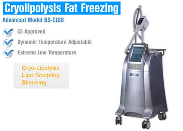 Body Slimming / Shaping Cryolipolysis Maszyna do zamrażania tłuszczu z inteligentną kontrolą temperatury