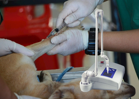 Medyczny weterynaryjny frakcyjny laserowy instrument CO2 dla psów / szpitali dla zwierząt