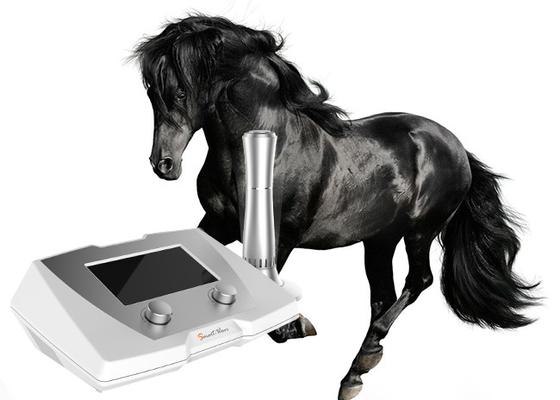 190 MJ High Energy Veterinary Shock Therapy Machine dla koni i małych zwierząt domowych