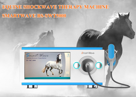 Weterynaryjna fizykoterapia Shock machine dla koni o prostej konstrukcji