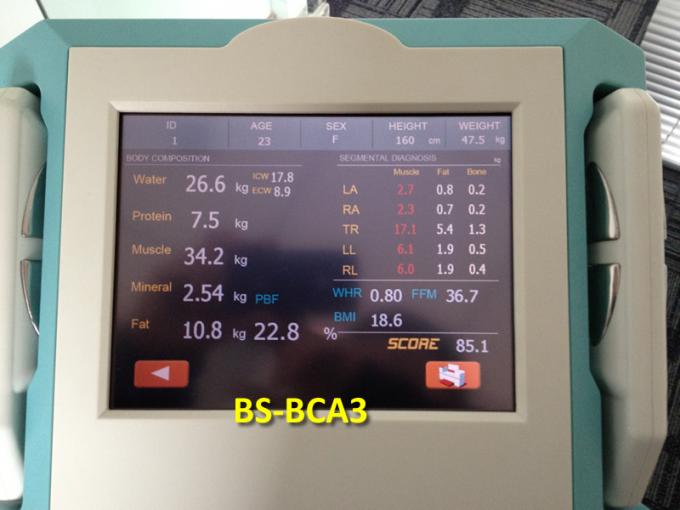BS-BCA3_panel_report.jpg